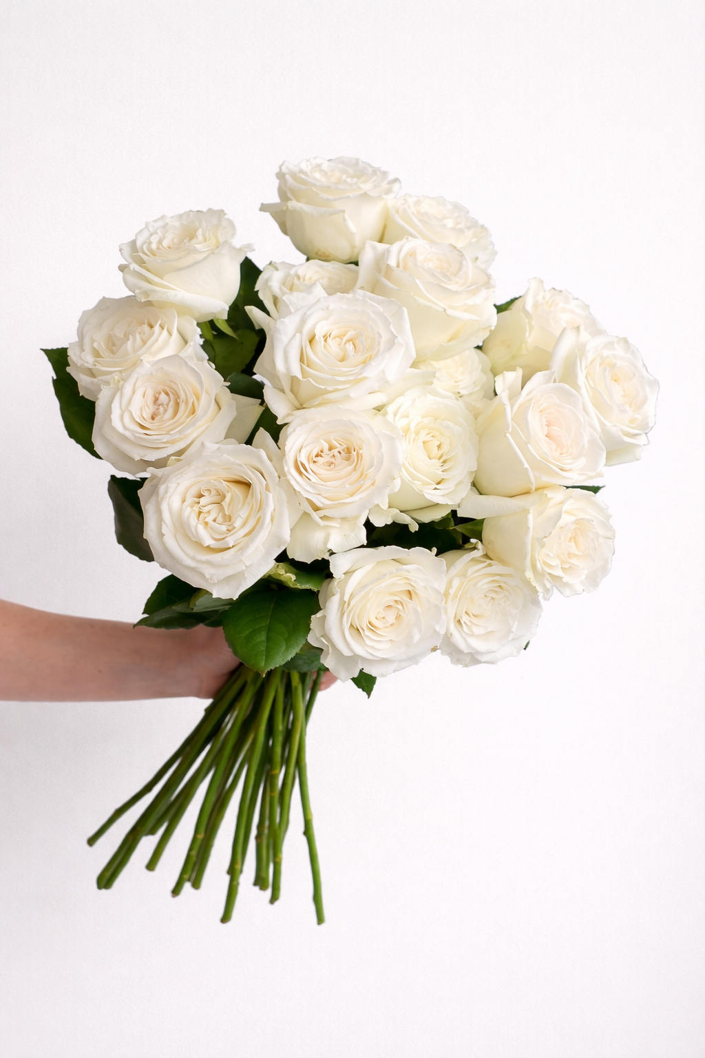 Roses