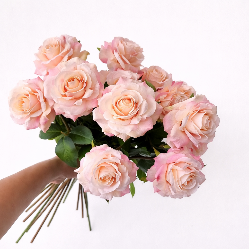 Roses